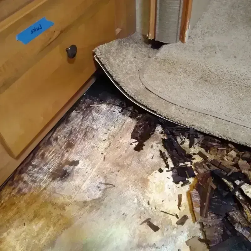 Wood Floor Water Damage in Adelphi, MD